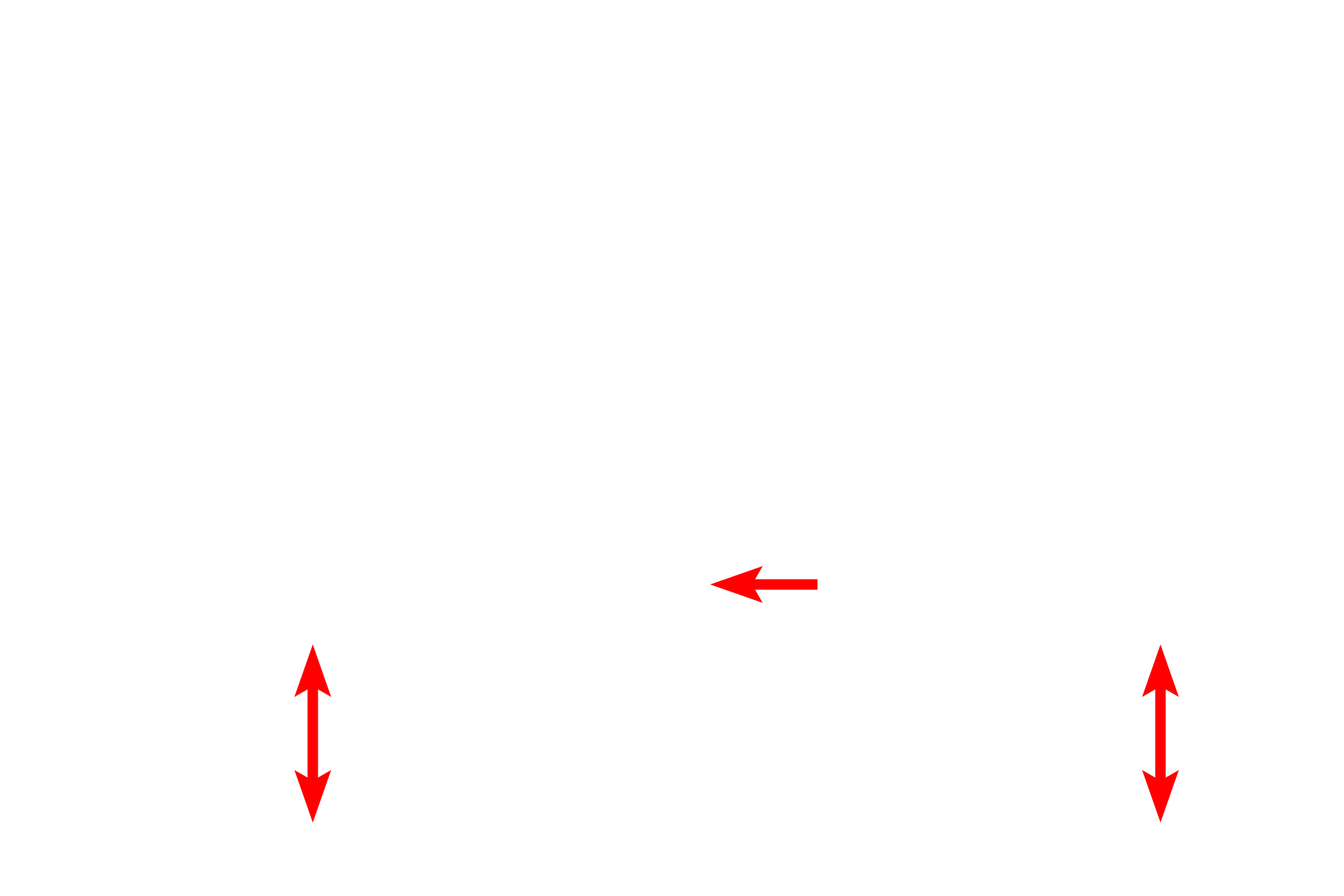 Larynx <p>Respiratory passages located outside the lung are referred to as extrapulmonary.  These frontal and mid-sagittal views of the head and neck illustrate the extrapulmonary components of the conducting portion of the respiratory system.  The inset shows the trachea dividing into two primary bronchi (in red), one supplying each lung.</p>
