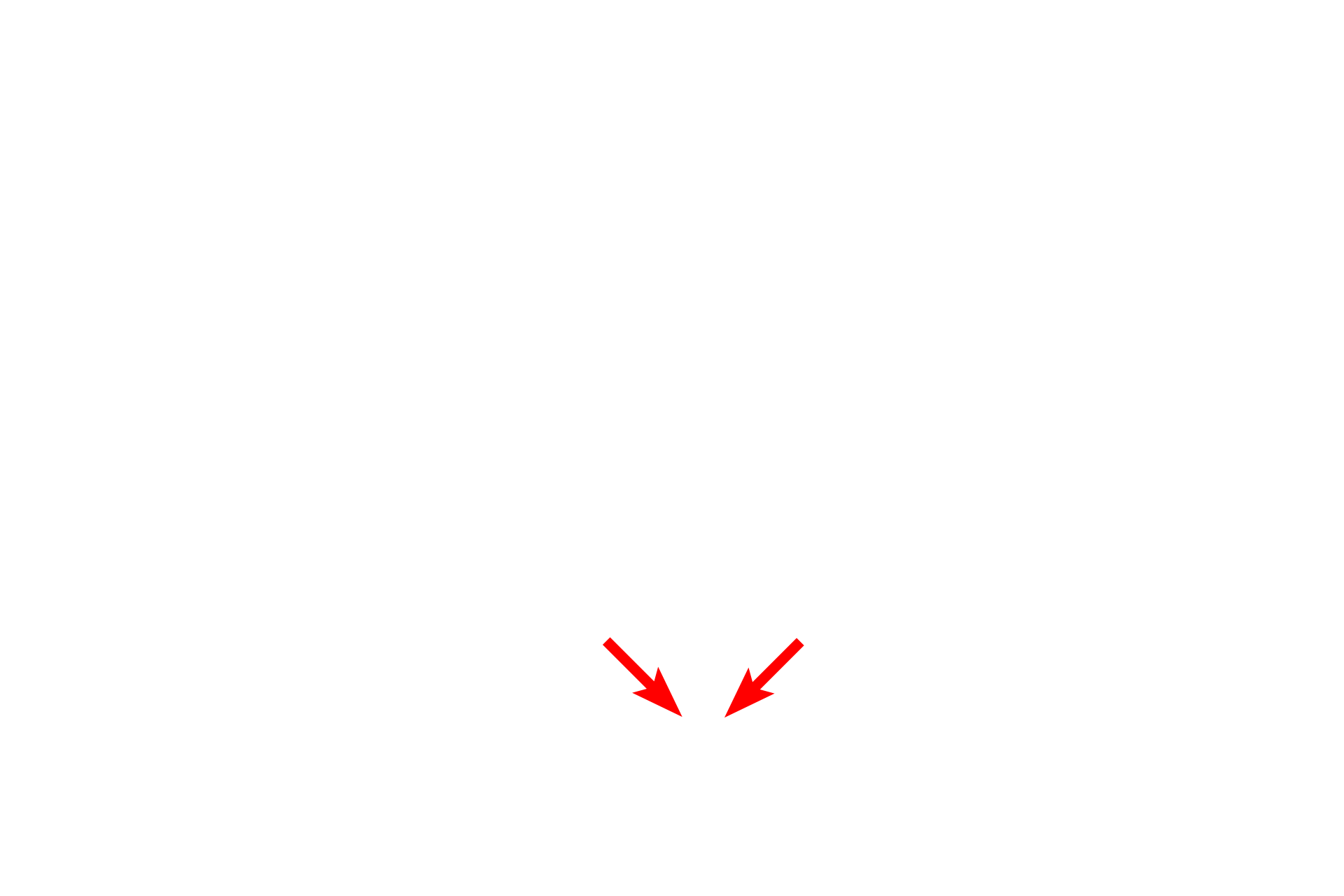 Primary bronchi <p>Respiratory passages located outside the lung are referred to as extrapulmonary.  These frontal and mid-sagittal views of the head and neck illustrate the extrapulmonary components of the conducting portion of the respiratory system.  The inset shows the trachea dividing into two primary bronchi (in red), one supplying each lung.</p>

